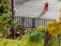 Preview: Faller 180958 H0 Eisenzaun