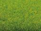 Preview: Noch 00020 Grasmatte Frühlingswiese 300x100mm