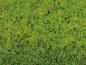 Preview: Noch 00011 Grasmatte Blumenwiese 200x100mm Preview: Noch 00011 Grasmatte Blumenwiese 200x100mm