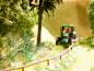 Preview: Noch H0 14100 Farn 9 Pflanzen