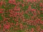 Preview: Noch 7257 Bodendecker-Foliage Wiese rot 12 x 18 cm