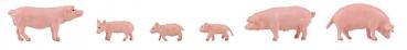 Faller H0 151910 Schweine