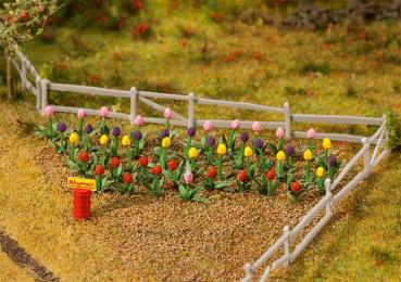 Faller H0 181262 Tulpen 36 Stück