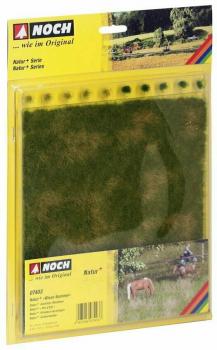 Noch 7403  Natur Wiese Sommer