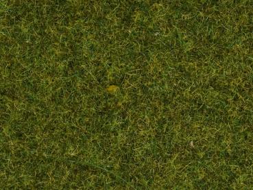Noch 8361  Streugras "Wiese" 4 mm, 20 g