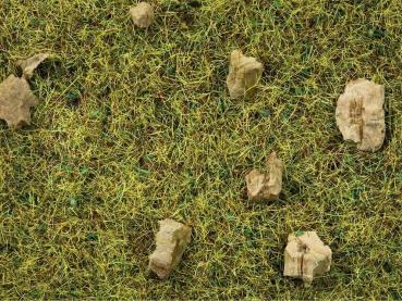 Noch 8360  Streugras Steinige Bergwiese  2,5 mm, 20 g
