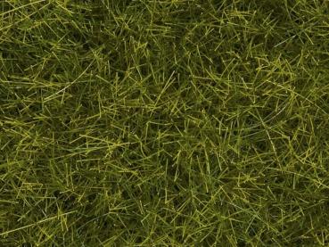 Noch 7110  Wildgras XL Wiese 12 mm, 40 g