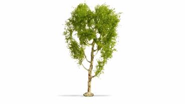 Noch 20125 Moorbirke 21 cm hoch