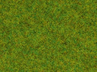 Noch 8200 Streugras “Frühlingswiese”