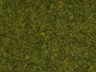 Noch 7117 Wildgras "Wiese", 9 mm, 50 g Beutel