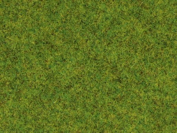 Noch 50210  Streugras Frühlingswiese 2,5 mm, 100 g