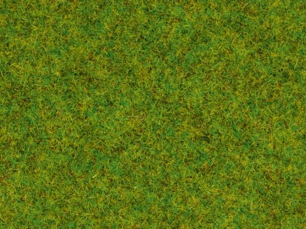 Noch 8200 Streugras “Frühlingswiese”