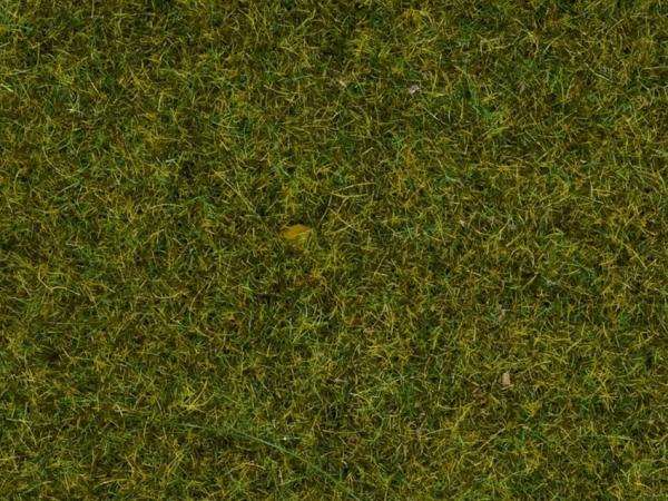Noch 8212 Streugras “Wiese”